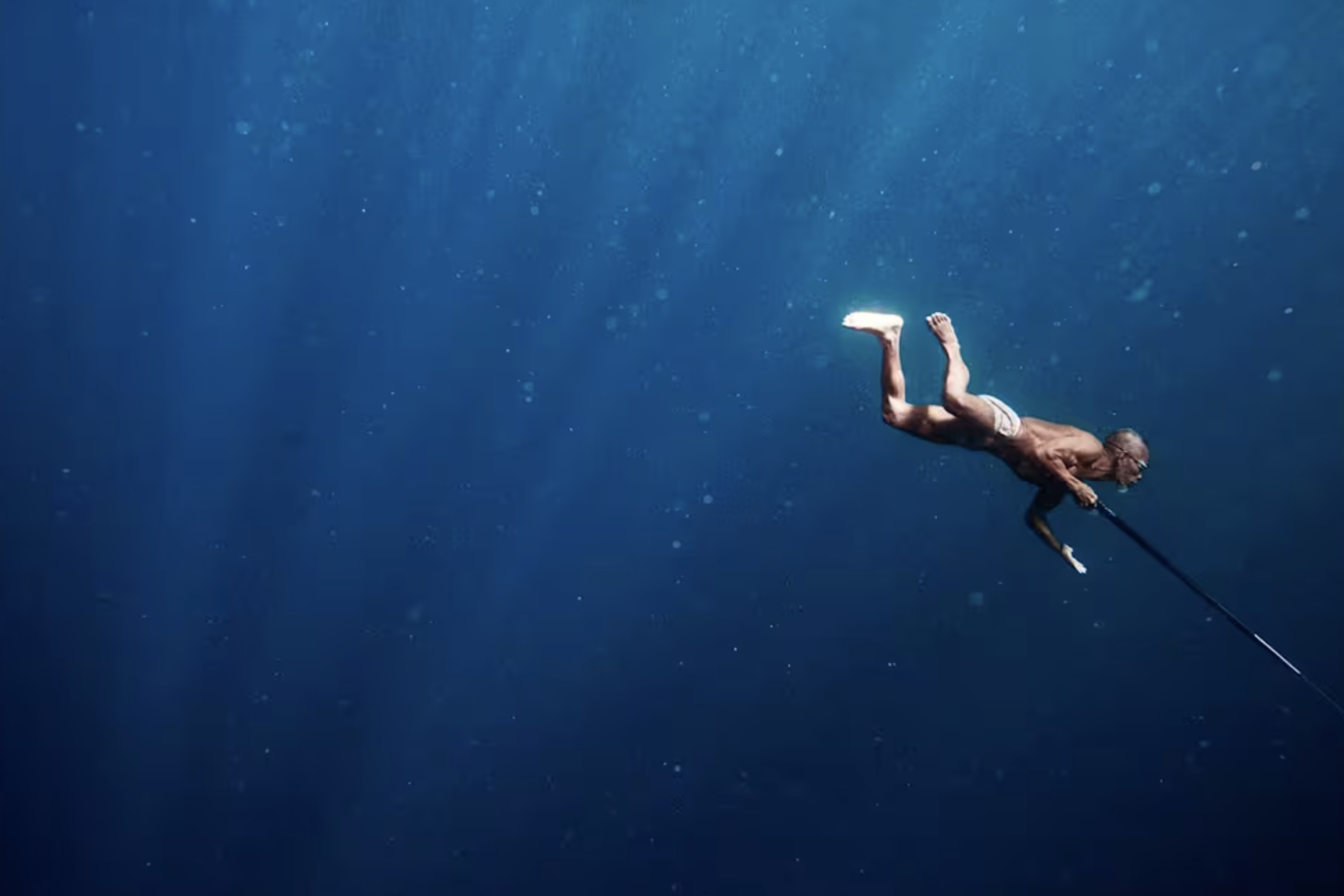 A Tribute to Discomfort