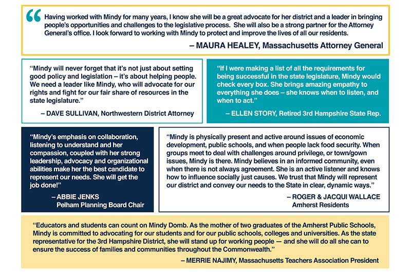 A postcard with several quotes endorsing Mindy Domb for state representative