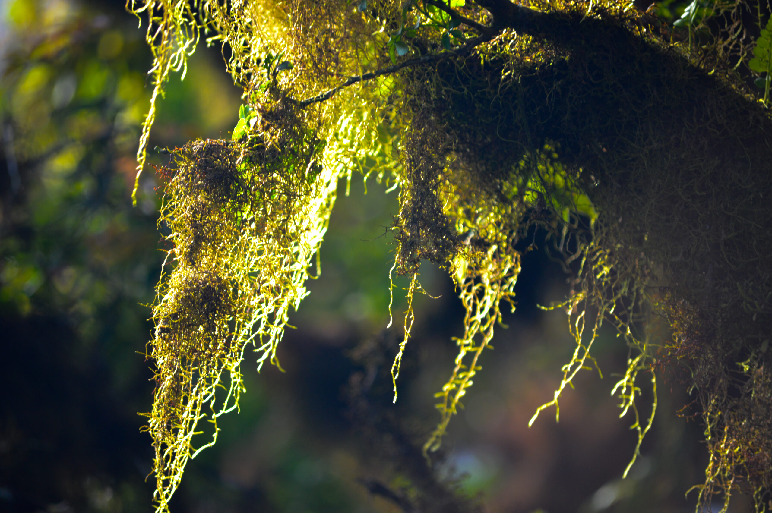 11 Faves from Galápagos: Flora & Fauna