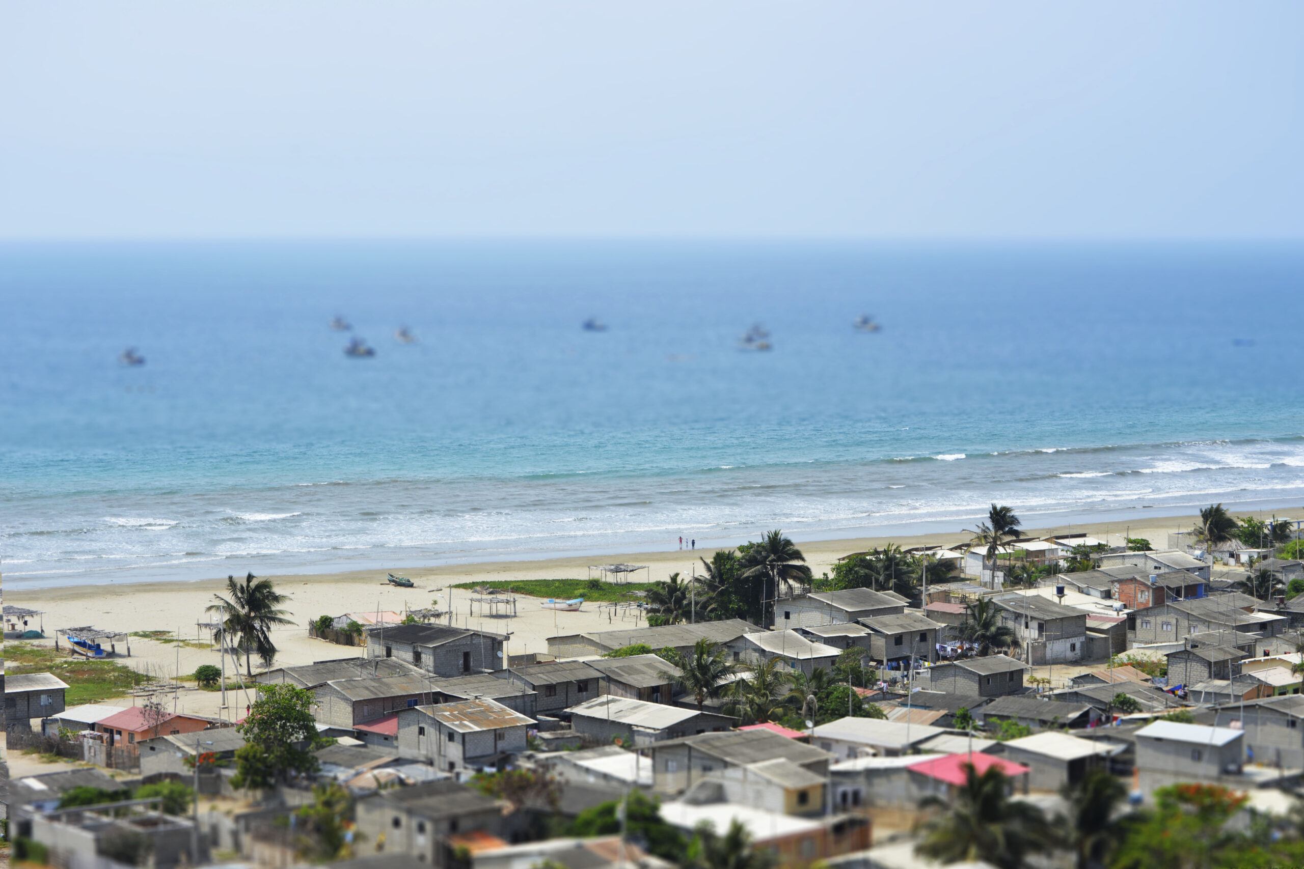 5 Faves from Around Palmar